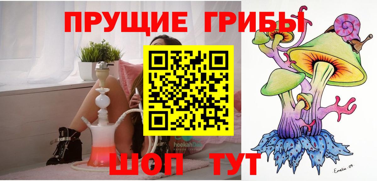 Галлюциногенные грибы GOLDEN TEACHER  Вход с VPN  Реутов 